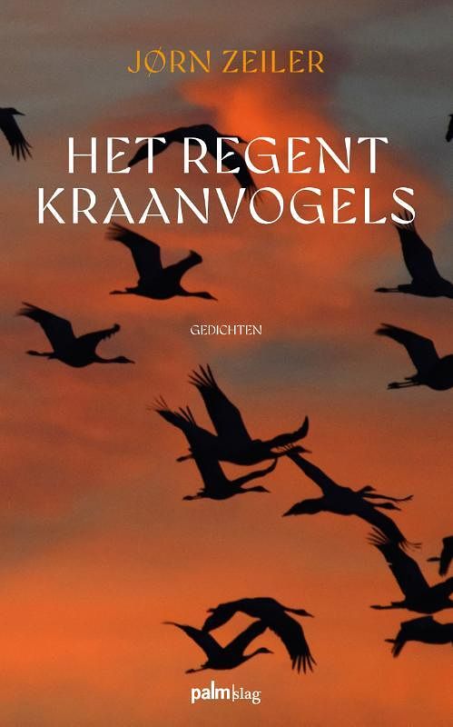 Foto van Het regent kraanvogels - jørn zeiler - paperback (9789493343092)