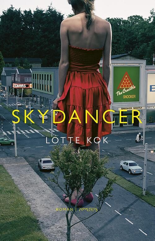 Foto van Skydancer - lotte kok - ebook (9789044632088)