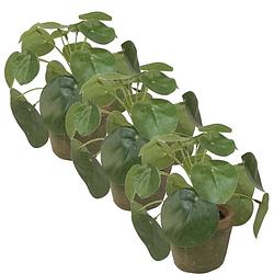 Foto van 3x kunstplanten pilea groen in pot 13 cm - kunstplanten