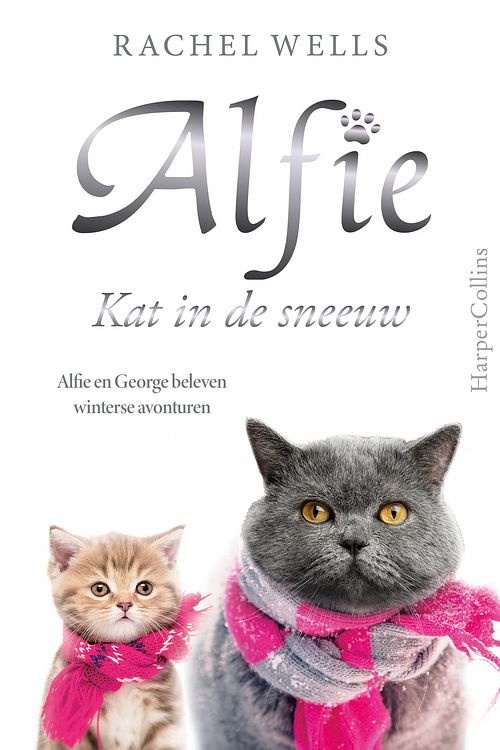 Foto van Kat in de sneeuw - rachel wells - ebook