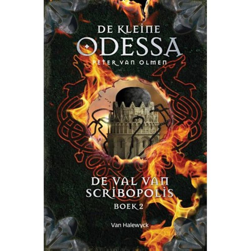 Foto van De val van scribopolis / boek 2 - de kleine odessa