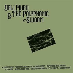 Foto van Dali muru & the polyphonic swarm - lp (3481575520853)