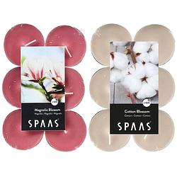 Foto van Candles by spaas geurkaarsen - 24x stuks in 2 geuren blossom flowers en magnolia bloesem - geurkaarsen
