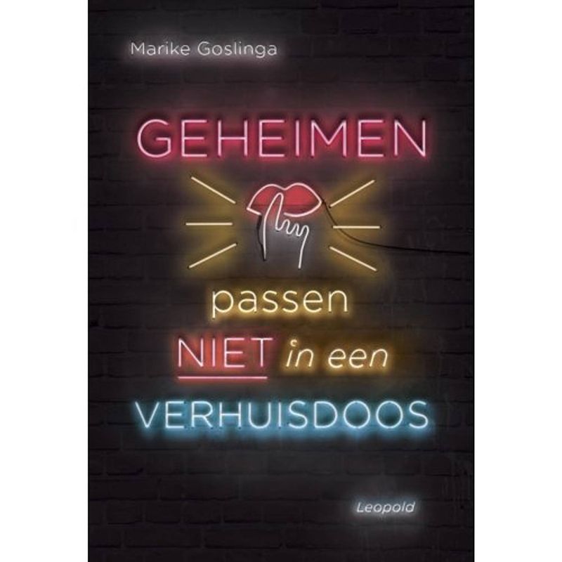 Foto van Geheimen passen niet in een verhuisdoos