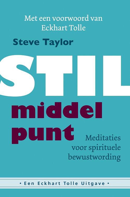 Foto van Stil middelpunt - steve taylor - ebook (9789020212273)