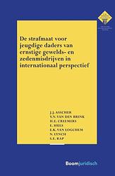 Foto van De strafmaat voor jeugdige daders van ernstige gewelds- en zedenmisdrijven in internationaal perspectief - e. huls - paperback (9789462909434)