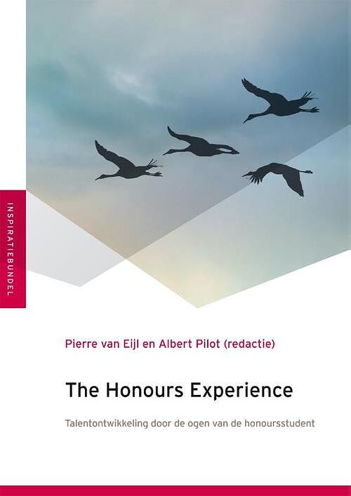 Foto van The honours experience - paperback (9789051799361)
