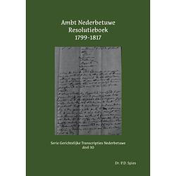 Foto van Ambt nederbetuwe resolutieboek 1799-1817 - serie