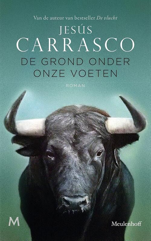 Foto van De grond onder onze voeten - jesús carrasco - ebook (9789402307474)