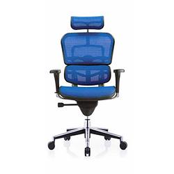 Foto van Comfort bureaustoel ergohuman classic (met hoofdsteun) - blauw