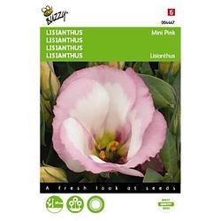 Foto van 5 stuks lisianthus mini rose tuinplus