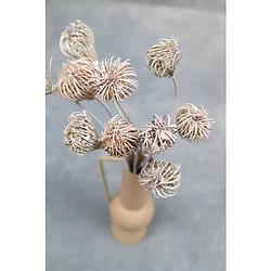 Foto van Couronne bundeltje gedroogde bloemen ammi white wash