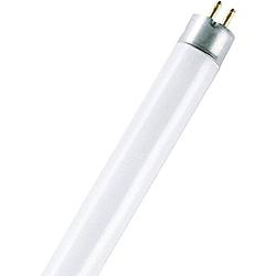 Foto van Osram tl-lamp energielabel: g (a - g) g5 8 w koudwit buis (ø x l) 16 mm x 288 mm 1 stuk(s)