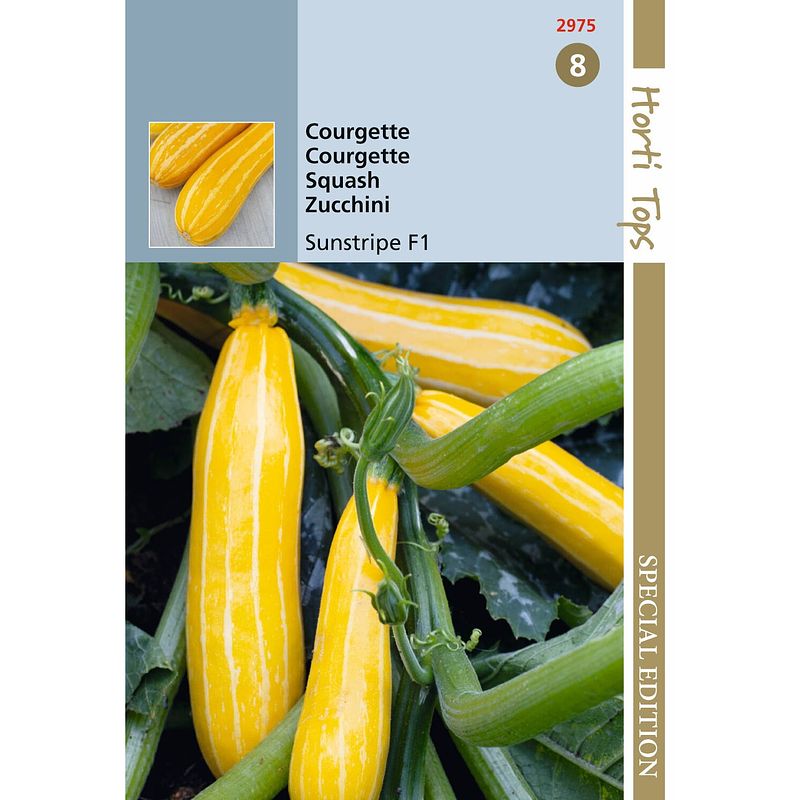 Foto van Hortitops - hts courgette sunstripe f1, geel