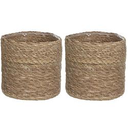 Foto van 2x stuks naturel bruin rotan planten pot mand van gedraaid jute/riet h20 en d20 cm - plantenpotten