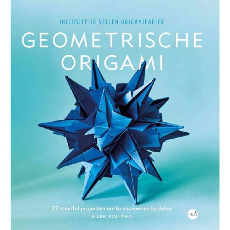 Foto van De kunst van geometrische origami