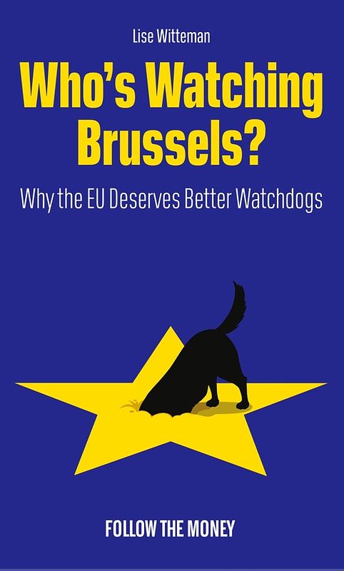 Foto van Who's watching brussels? - lise witteman - ebook