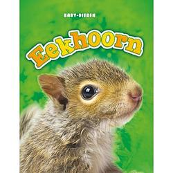 Foto van Eekhoorn - baby-dieren