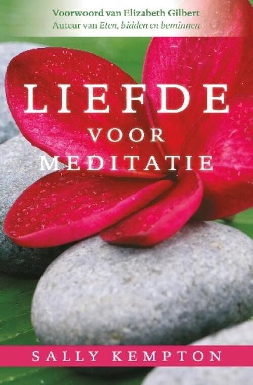 Foto van Liefde voor meditatie - sally kempton - ebook (9789020207903)