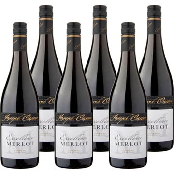 Foto van Excellence merlot 6 x 750ml bij jumbo