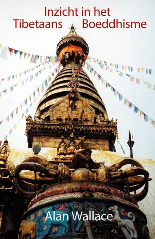 Foto van Inzicht in het tibetaans boeddhisme - alan wallace, steven van wilhelm - ebook