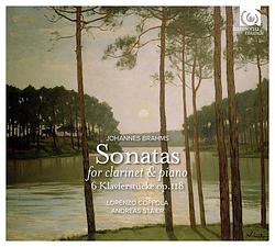 Foto van Sonatas for clarinet & piano - cd (3149020218723)