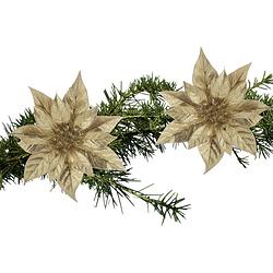 Foto van 2x stuks kerstboom decoratie bloemen kerstster goud glitter op clip 18 cm - kunstbloemen