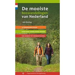 Foto van De mooiste boswandelingen van nederland