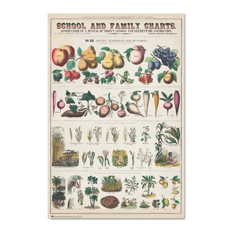 Foto van Grupo erik fruits and vegetables poster 61x91,5cm