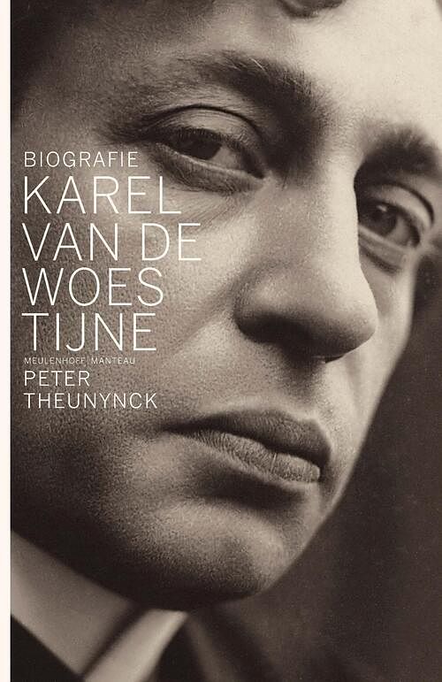 Foto van Biografie karel van de woestijne - peter theunynck - ebook (9789460424038)