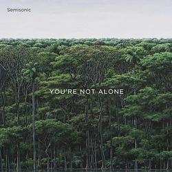 Foto van You'sre not alone - 12 inch vinyl;12 inch vinyl (0020286232407)