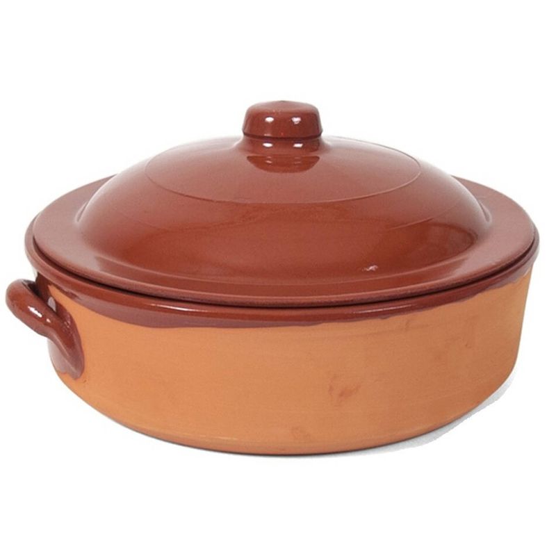 Foto van 1x terracotta braadpannen/ovenschalen met deksel 31 cm - braadpannen