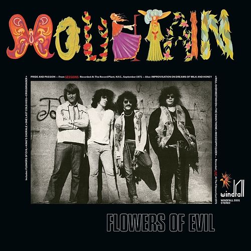 Foto van Flowers of evil - lp (8719262009219)