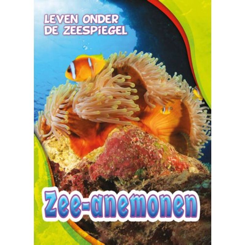 Foto van Zee-anemonen - leven onder de zeespiegel