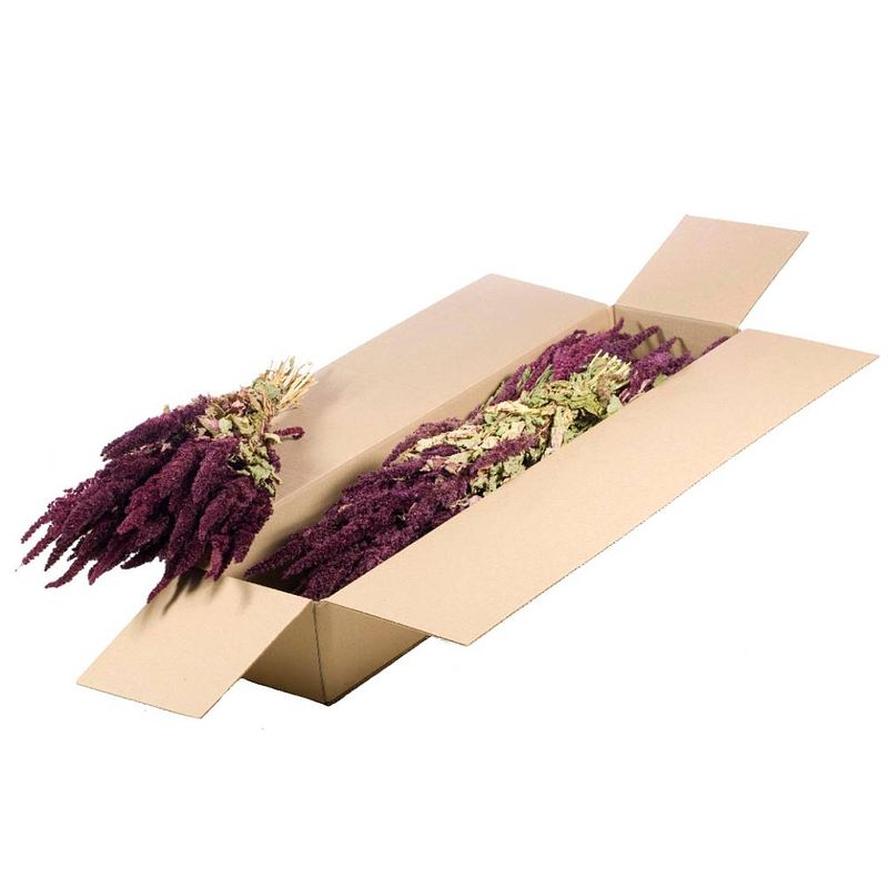 Foto van Packlinq gedroogde bloemen natuurlijk rood amaranthus (1 bundel)