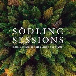 Foto van Sodling sessions - cd (7391782219371)