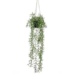 Foto van Emerald kunstplant hangend in pot senecio 70 cm