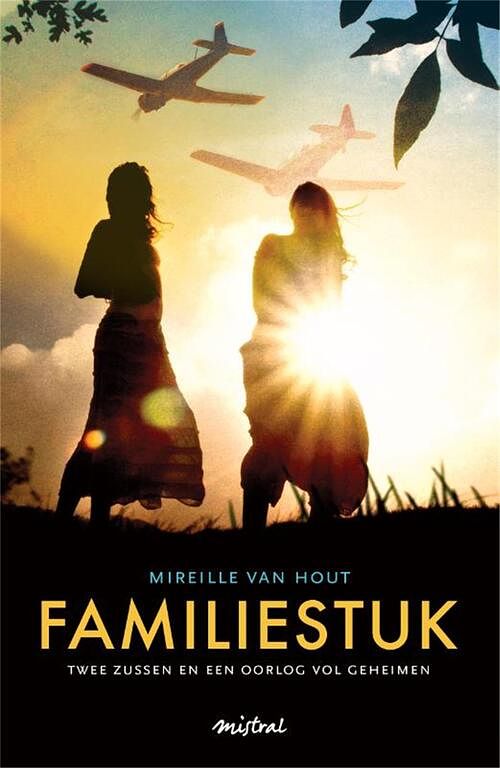 Foto van Familiestuk - mireille van hout - ebook (9789049952792)