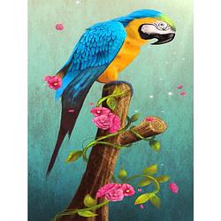 Foto van Diamond painting pakket papegaai op een tak - volledig - full - 30x40 cm - seos shop ®