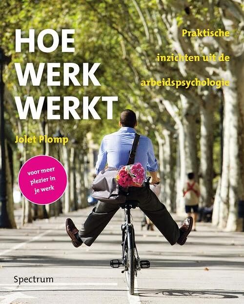 Foto van Hoe werk werkt - jolet plomp - ebook (9789049107307)