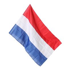 Foto van Talentools vlag nederland 100x150cm