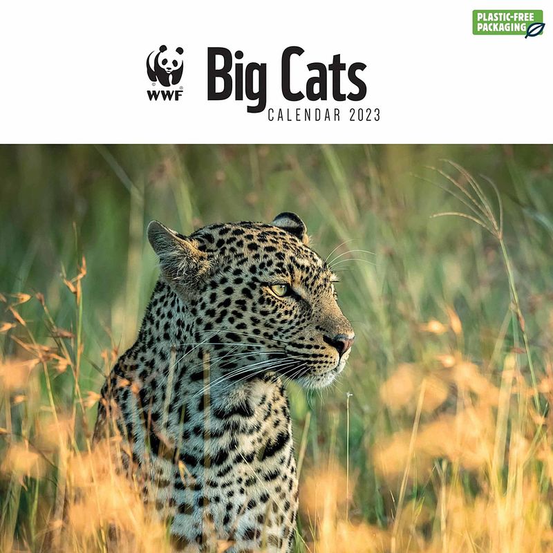 Foto van Big cats kalender 2023