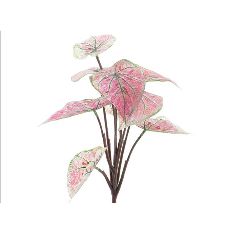 Foto van Nova nature - nova nature dieffenbachia plant pink 32 cm
