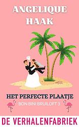 Foto van Het perfecte plaatje - angelique haak - ebook