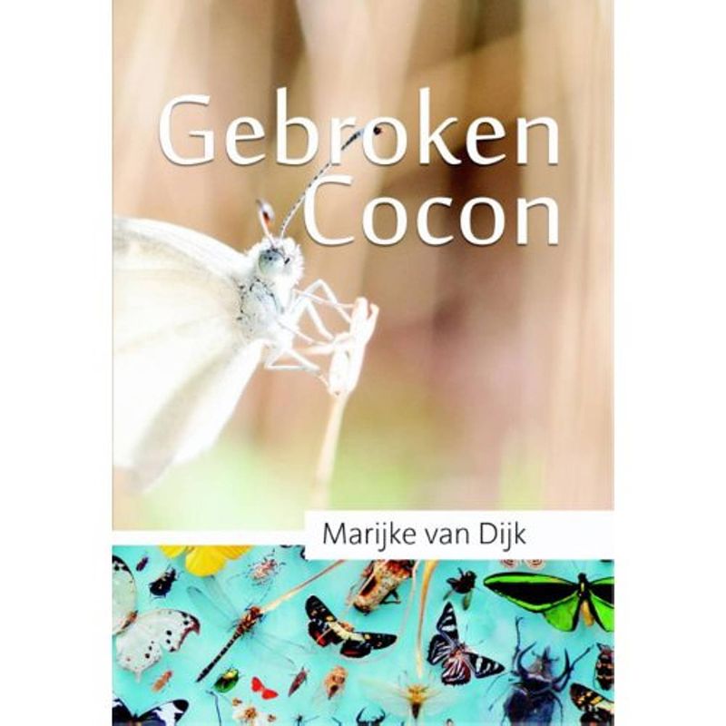 Foto van Gebroken cocon - vlinderdans