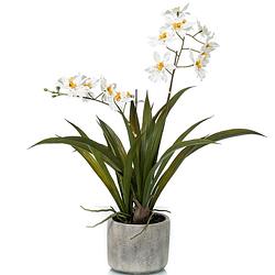 Foto van Witte orchidee orchidaceae kunstplant in keramische pot 45 cm - kunstplanten