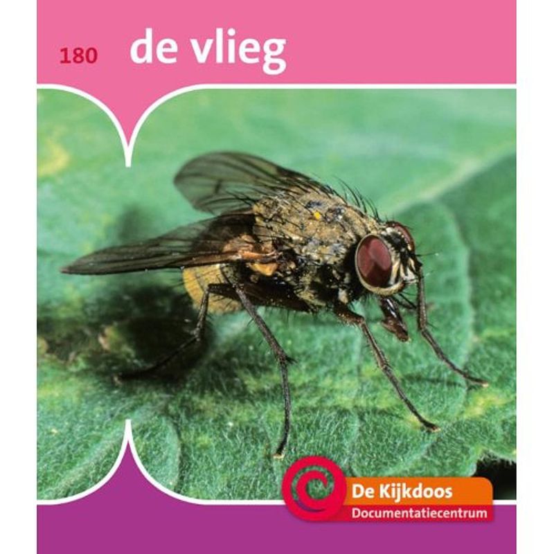 Foto van De vlieg - de kijkdoos