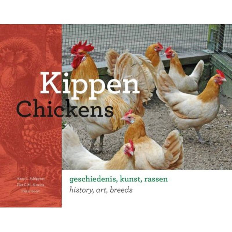 Foto van Kippen; chickens