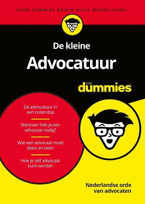 Foto van De kleine advocatuur voor dummies - nova - paperback (9789045356624)