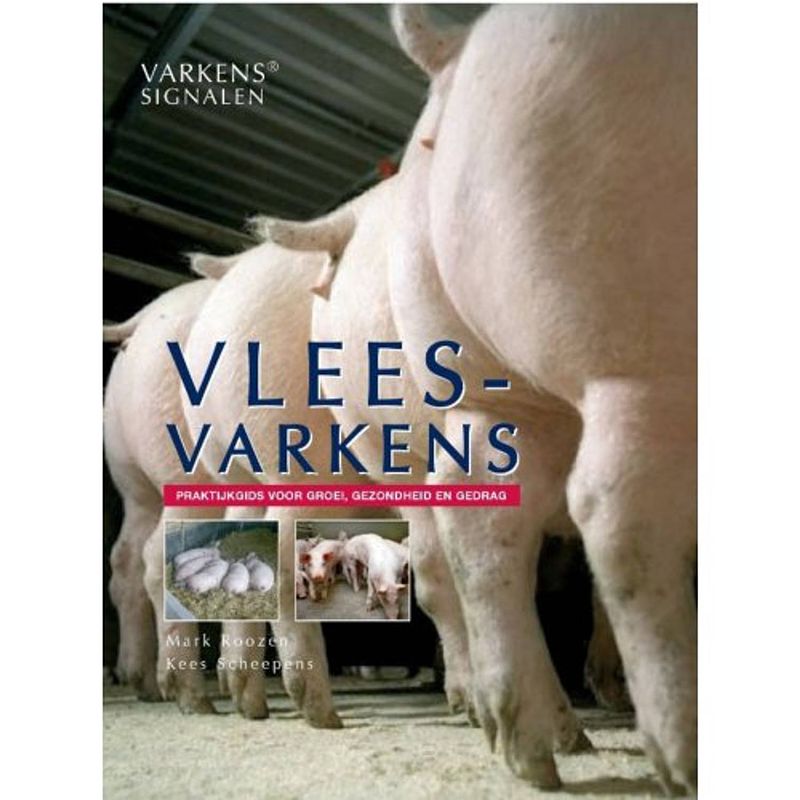 Foto van Vleesvarkens - varkenssignalen